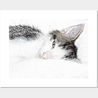 Kitten Cloud Pencil Posters and Art